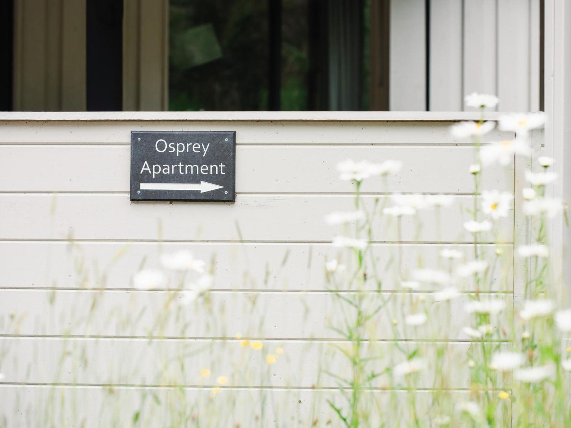 Osprey Apartment 킹구시 외부 사진